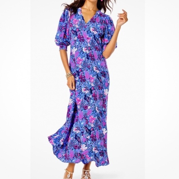 Lilly Pulitzer Dresses & Skirts - Lilly Pulitzer Andrei Maxi Dress Boca Blue Birds Eye View sz 4